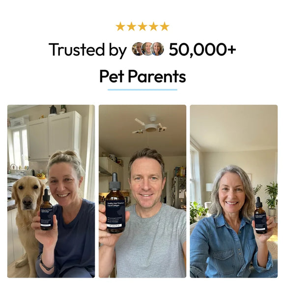Feature product image