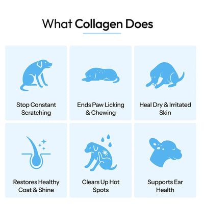 Healthy Petz Premium Liquid Collagen
